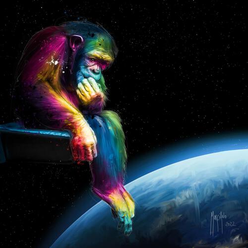 Why & Quest - Patrice Murciano