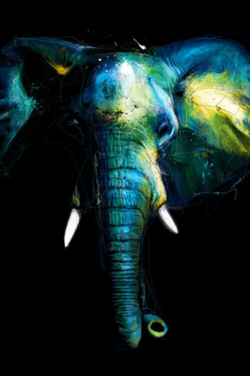 Wild Light - Patrice Murciano