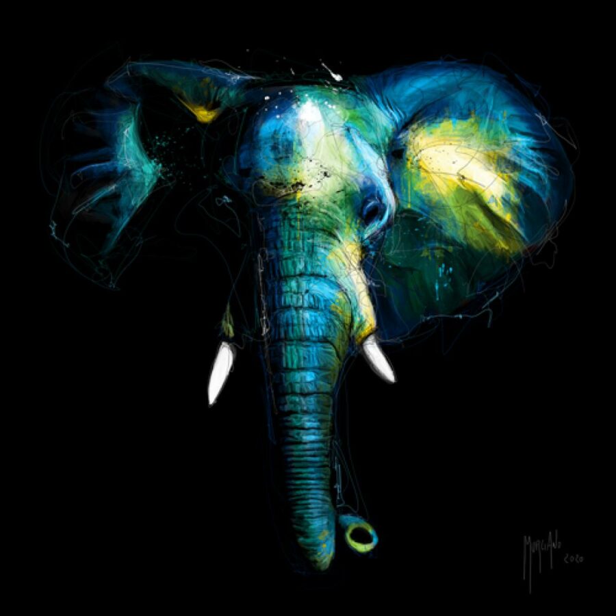 Wild Light - Patrice Murciano