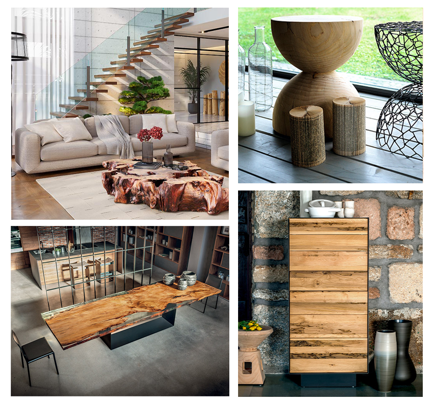 Exemple de design Riva 1920